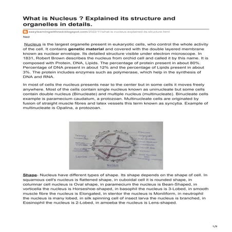 easylearningwithned.blogspot.com-What is Nucleus  Explained its structure and...
