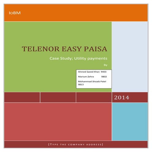 Easypaisa, Report on TPS implementation 