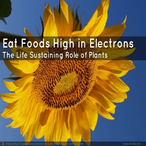 Eat Foods High in Electrons