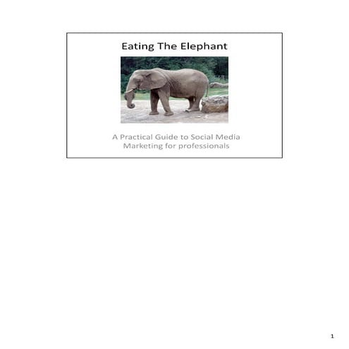 Eating The Elephant - Social Media Marketing for Professionals