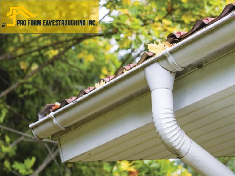 Eavestrough & Gutter Cleaning Solution Ottawa