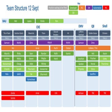 Fuel Team Structure .pptx