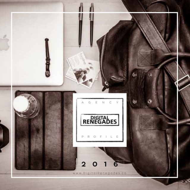 Digital Renegades Agency Profile 2016