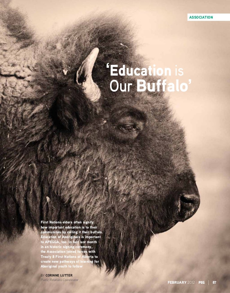 Education is Our Buffalo