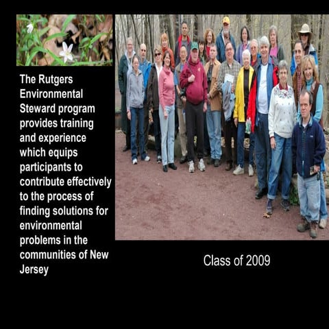 Program to group on Bluebirds ver2