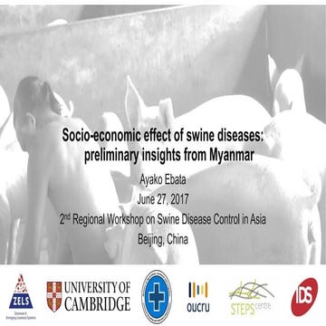 Socio-economic effect of swine diseases: preliminary insights from Myanmar