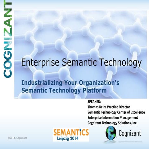 Enterprise Semantic Technology