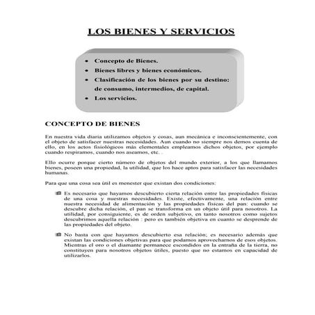 BIENES Y SERVICIOS