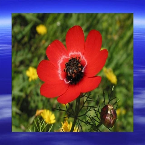 Evidence-based medicine