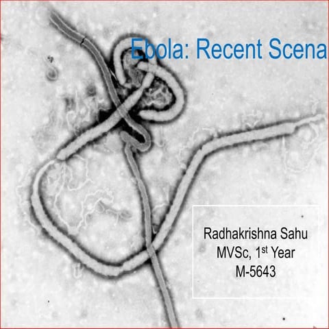 Ebola and Its recent scenario