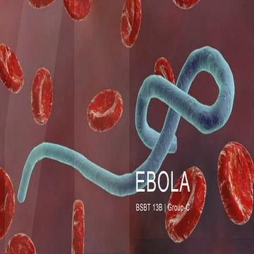 Ebola.pptx