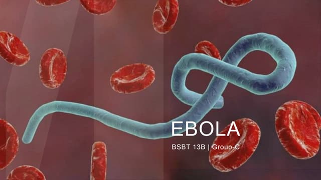 Addressing Risks to Medical Personnel Addressing Risks to Medical Personnel