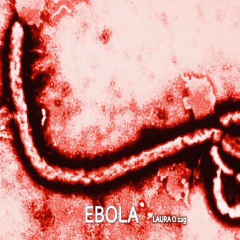 Ebola 