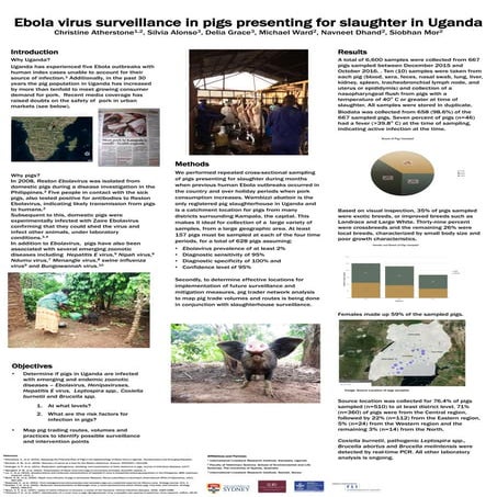 Ebola virus surveillance in pigs presenting for slaughter in Uganda