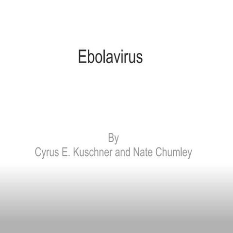 Ebolavirus