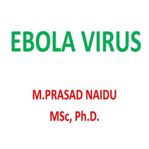 Ebola virus 