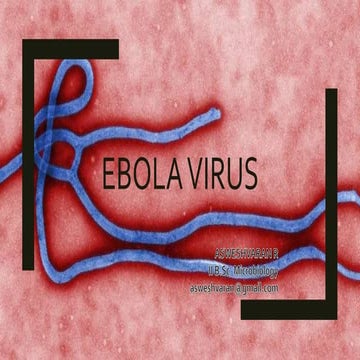 Ebola virus