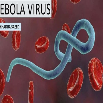 Ebola virus