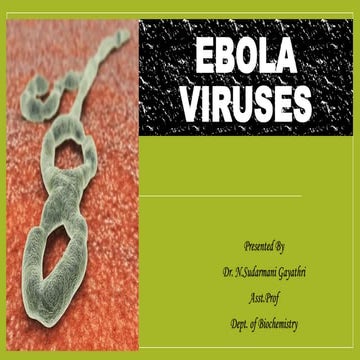 Ebola viruses