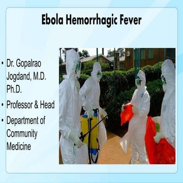 Ebola virus hf