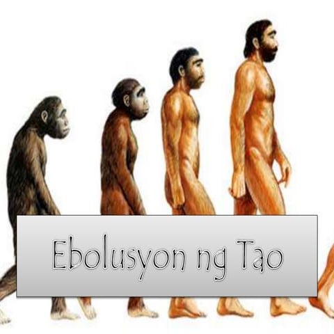 Ebolusyon ng tao