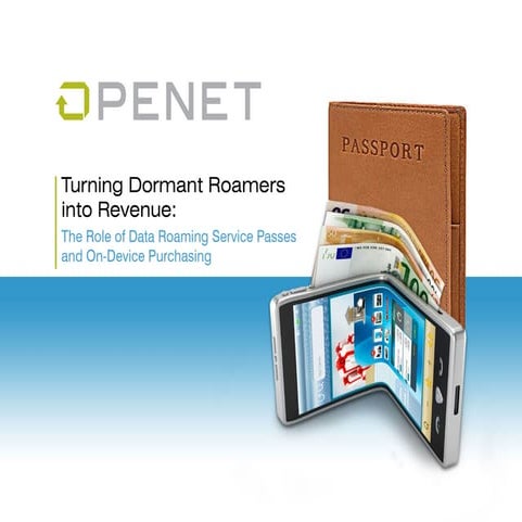 Infographics data roaming service passes | DOCX