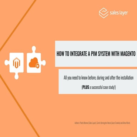 PIM to Magento -> How to integrate them