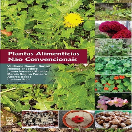 Plantas Alimentícias Não Convencionais – PANC: resgatando a soberania alimentar e nutricional, feito por pesquisadoras da Universidade de Caxias do Sul (UCS)ebook-plantas-alimenticias.pdf