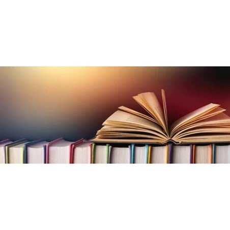 Code Red (Mitch Rapp 22) | PDF