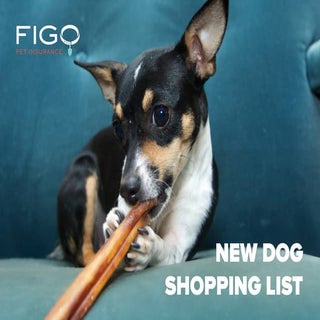 New Dog Shopping List