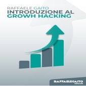Ebook RG Introduzione al growth hacking.pdf