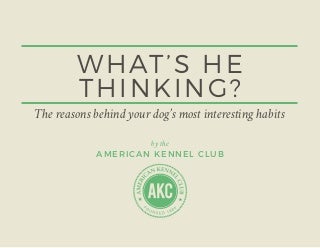 Warning: These 9 Errors Will Destroy Your Dog Breeds