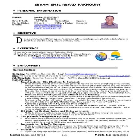 Hiba M.Sayyed-CV | PDF