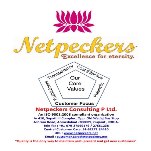 Ebrochure netpeckers p ltd, ahmedabad, Gujarat, India