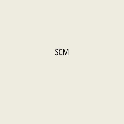 E business scm_crm