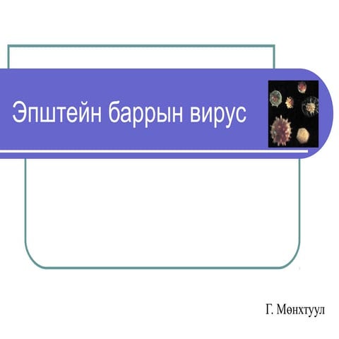 эпштейн баррын вирус | PPT