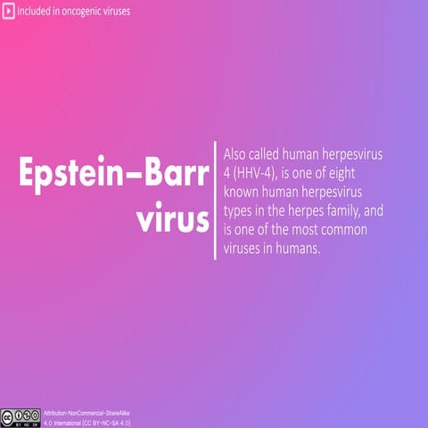 Epstein–Barr virus