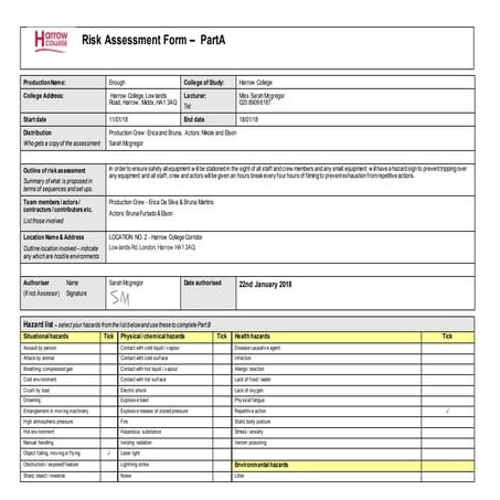 Risk Assessment | DOCX