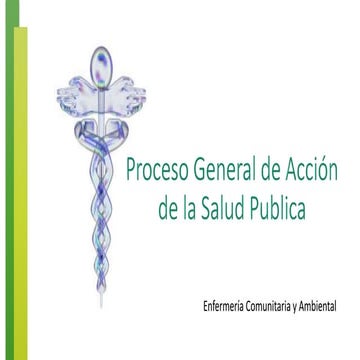 Proceso General de Acción de la Salud Publica