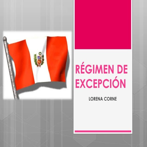 RÉGIMEN DE EXCEPCIÓN - Lorena Corne