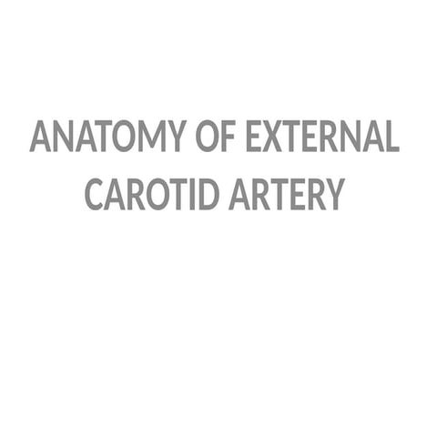 Anatomy of the external carotid artery (ECA) | PPT