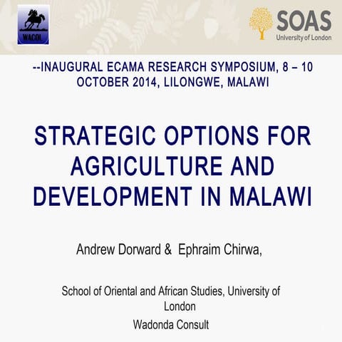 Strategic Options for agriculture and development in Malawi by Andrew Dorward