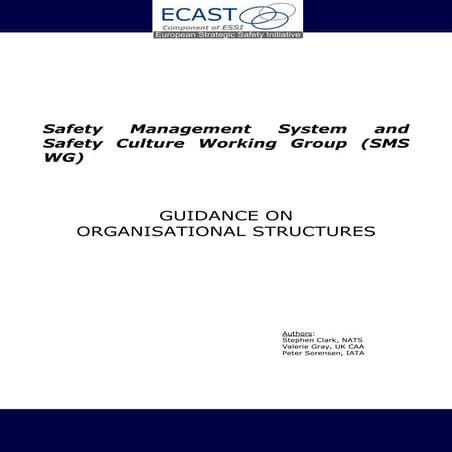 ECASTSMSWG-GuidanceonOrganisationalStructures1.pdf