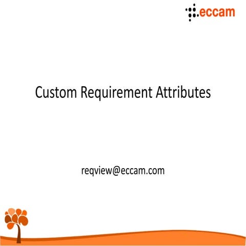 Custom Requirement Attributes