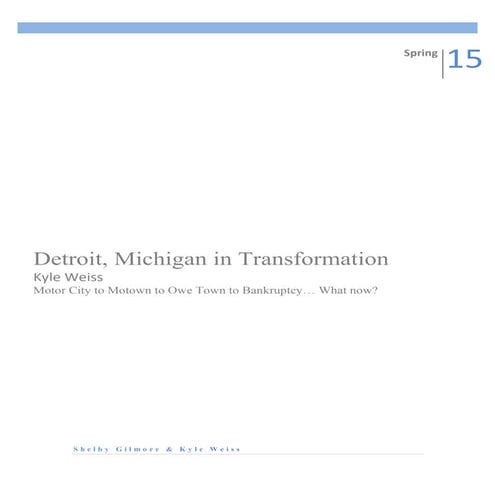 Detroit Case Study