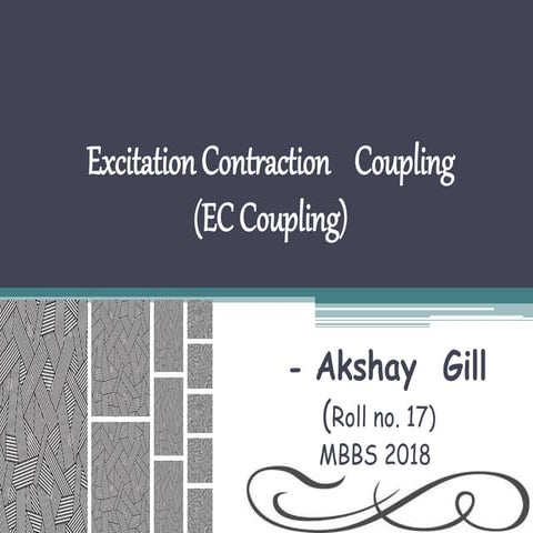 Excitation Contraction Coupling