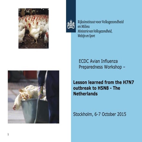 Avian influenza in the Netherlands | PDF