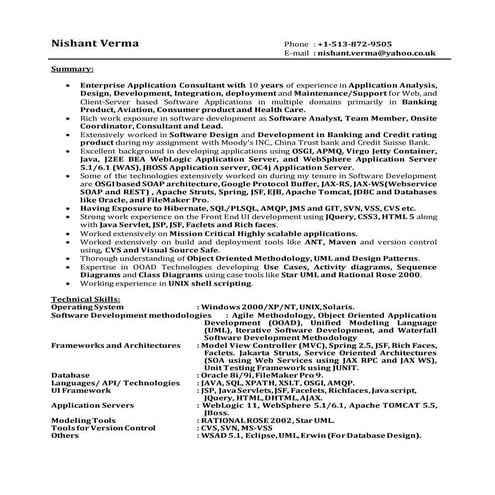 Resume- Nishant Verma (JEE Consultant with 10+ years ) (1)