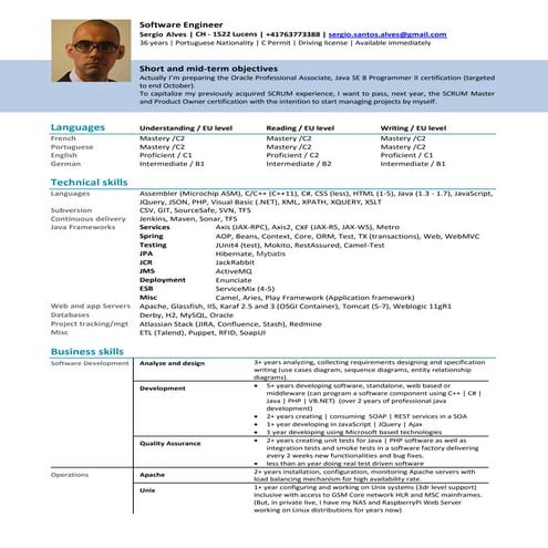 cv-sergio-alves-en