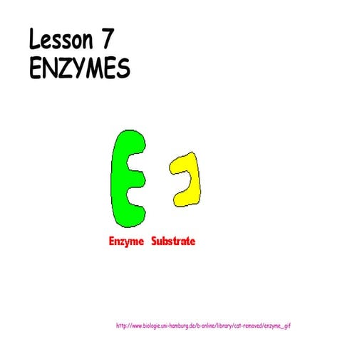 EC Enzymes Power point Lesson for Senior High